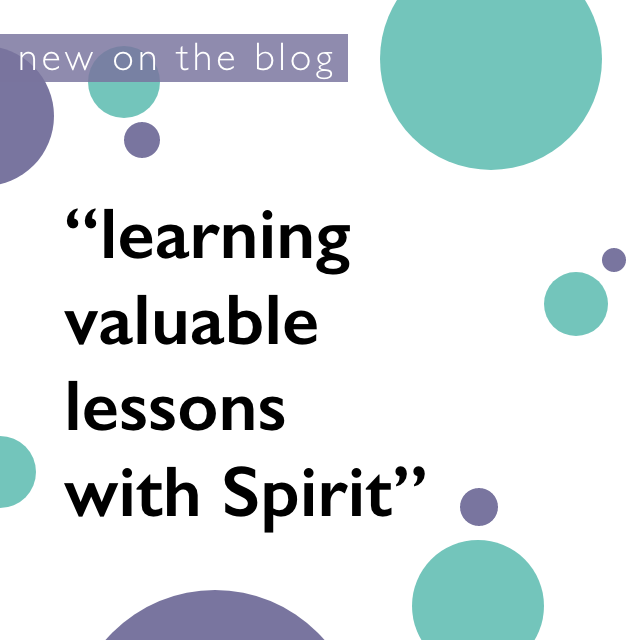 Learning Valuable Lessons with Spirit