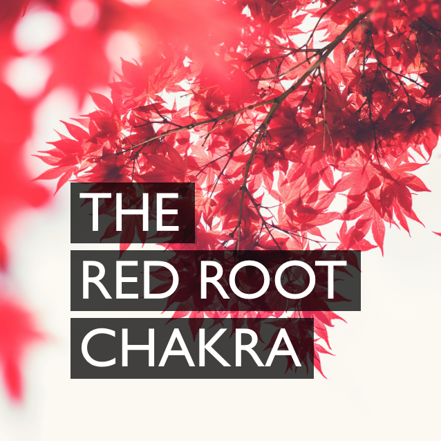 The Red Root Chakra